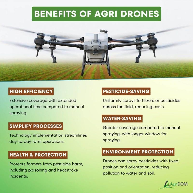 grain storage plan ensuring food security